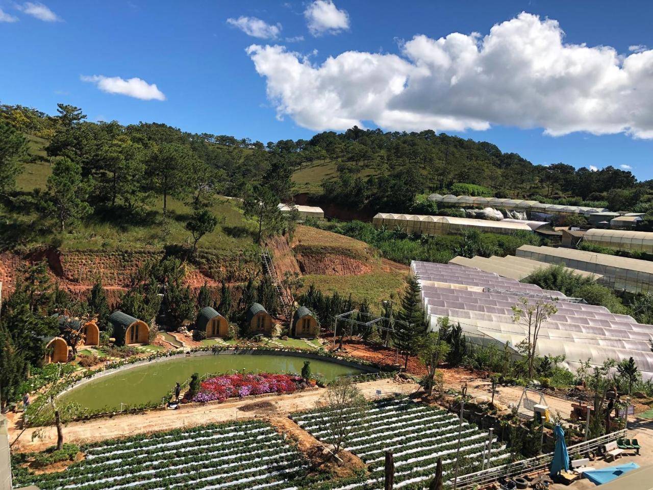 Berry Valley Homestay Da Lat Buitenkant foto